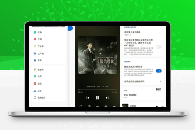 Salt Player 椒盐音乐 v10.5.1 正式版，支持多种音乐格式的纯净无广告本地音乐播放软件-大大博客