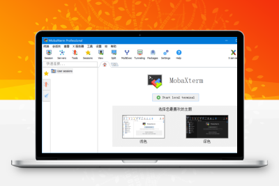 MobaXterm(远程终极工具箱) v24.4 Build 5258 绿色版-大大博客